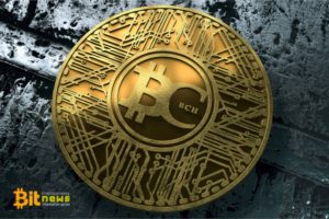 Roger Vera's company is preparing to launch BCH derivatives