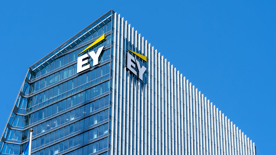 Ernst & Young (EY) has launched a blockchain solution for managing public finances!