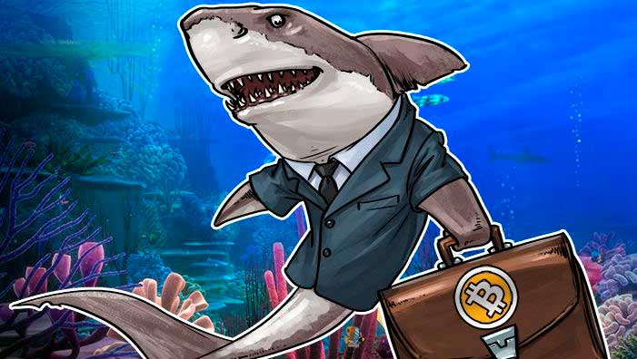 tranzacționarea rezervorului de rechin bitcoin)