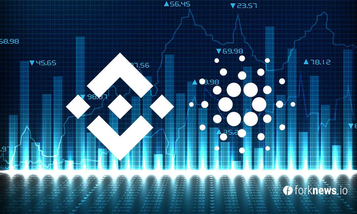 Analysis of BNB / USD and ADA / USD on 11/07/2019