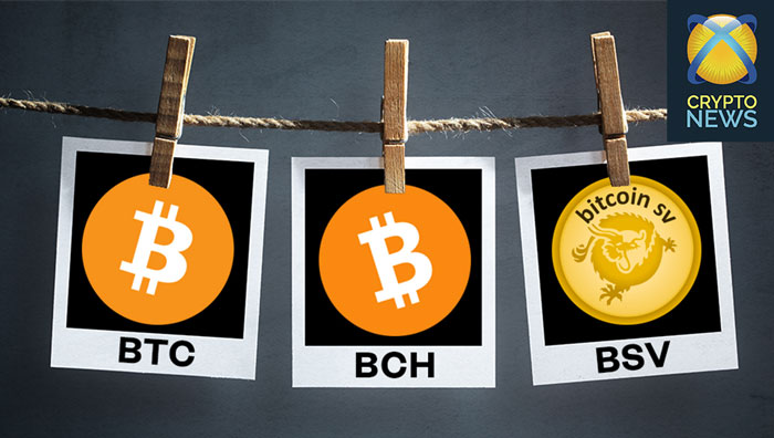 History and differences of Bitcoin (BTC) and its forks BCH and BSV