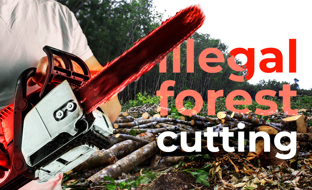 Blockchain fights illegal logging in the world "/>