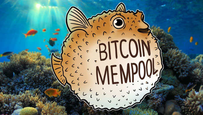 Bitcoin Mempool – Tokens24