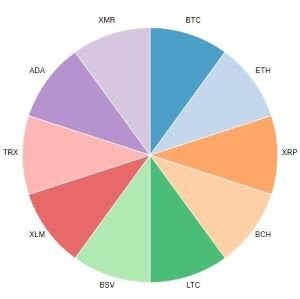 What is a cryptocurrency index fund? Asset allocation
