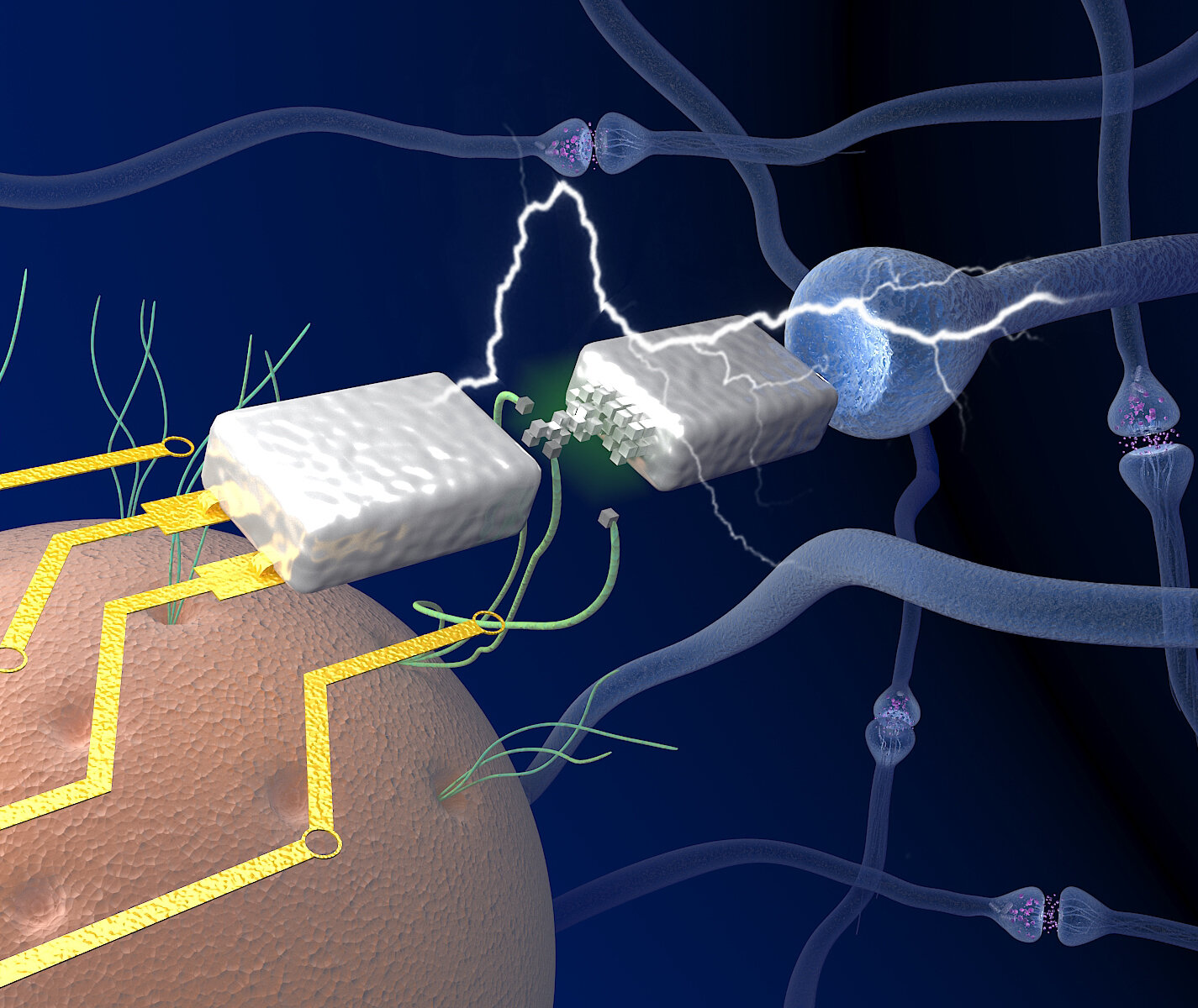 Scientists have created memory transistors that work like brain synapses