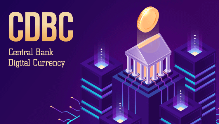 National Cryptocurrency - State Digital Currencies
