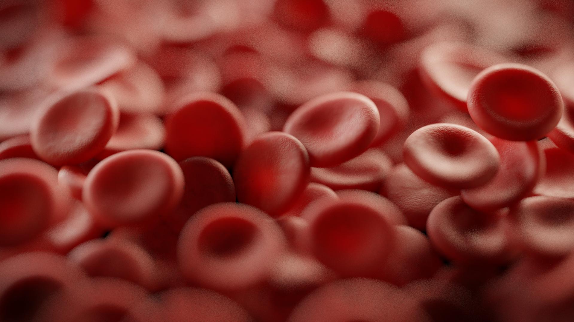 New synthetic red blood cells mimic natural, can carry drugs and detect toxins