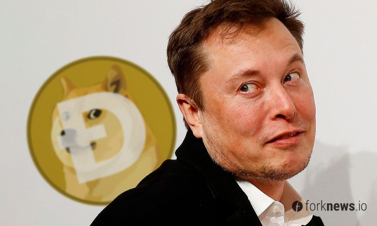 Elon Musk Pumps DogeCoin Again