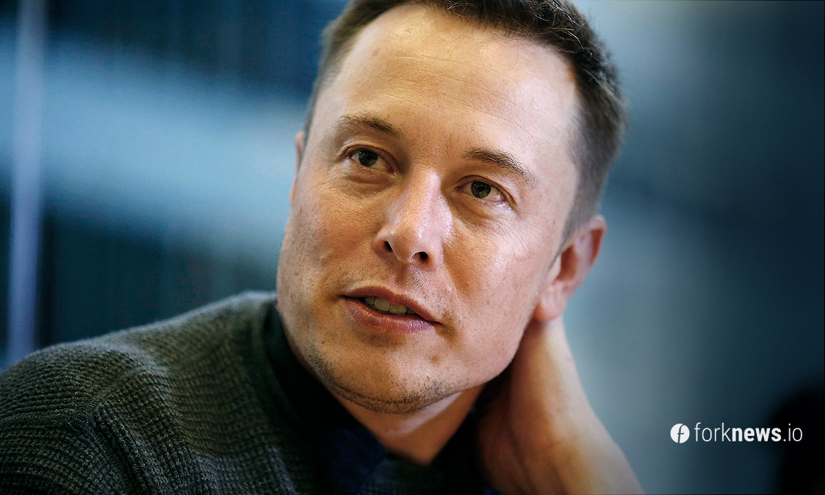Elon Musk e Tesla Crescimento das Ações