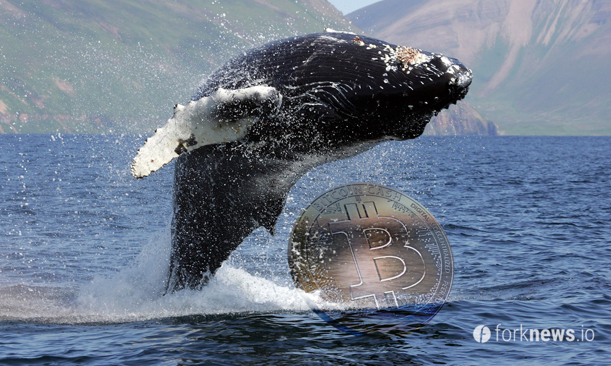 Whales Dump Bitcoin Cash En masse