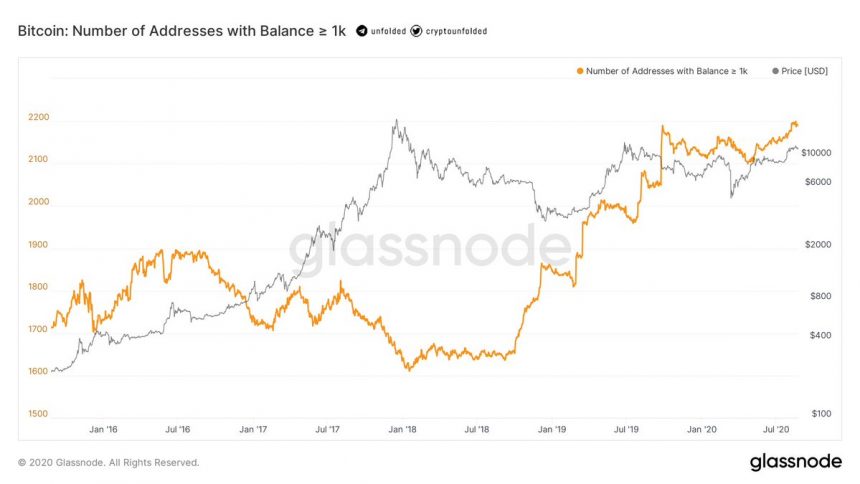 Bitcoin investors continue to accumulate assets