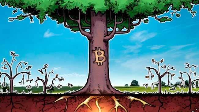 The conditions for long-term growth of BTC have formed in the market