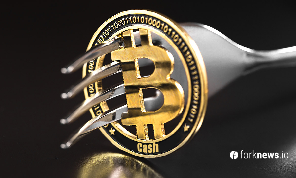 How to prepare and what to expect from the hard fork Bitcoin Cash?