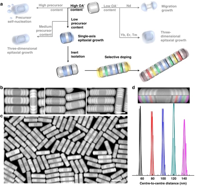Вчені розробили наноскопічні штрих-коди для маркування ДНК і зберігання даних