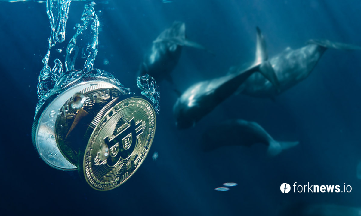 Since the beginning of autumn, whales have purchased another 500,000 BTC
