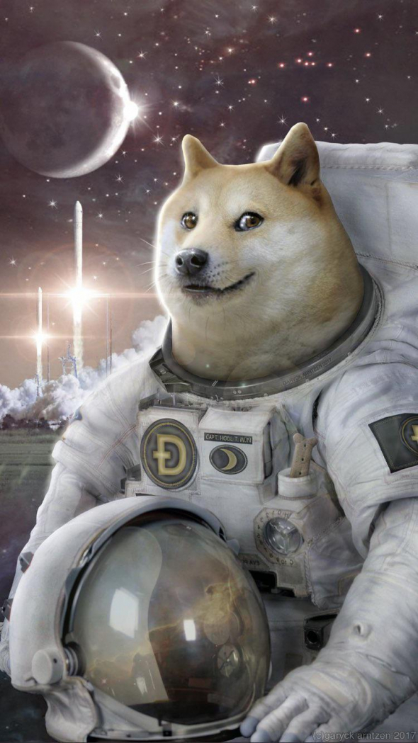 Dogecoin para a lua