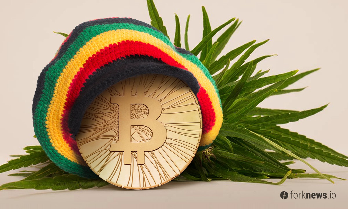 German cannabis producer invests in BTC