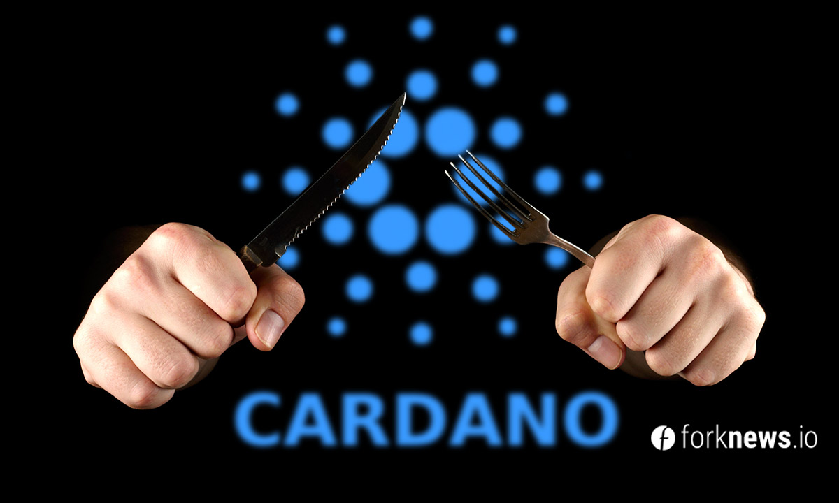 Cardano Will Hard Fork Mary In March