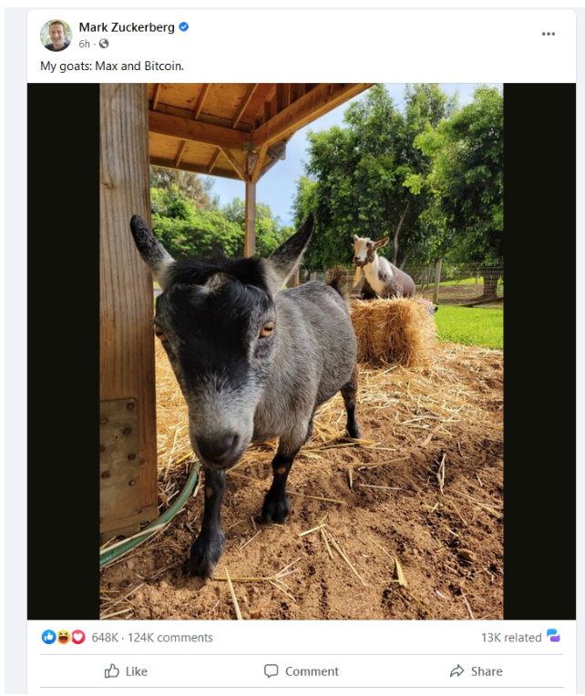Internet discusses Zuckerberg's post on the goat Bitcoin