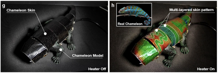 Engineers create a chameleon robot that changes color depending on the environment