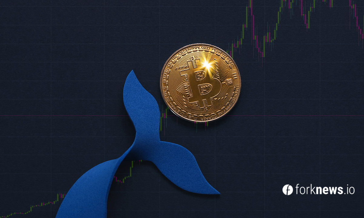 Bitcoin whales bought 20,000 BTC on falling prices
