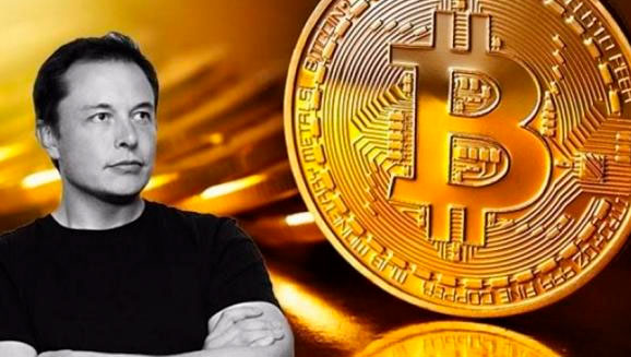 Elon Musk is against harsh taxation of cryptocurrencies