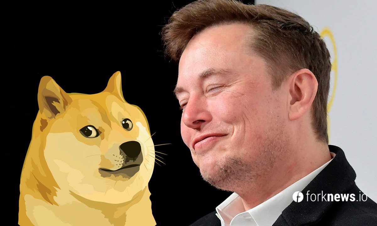 Elon Musk started a Shiba Inu
