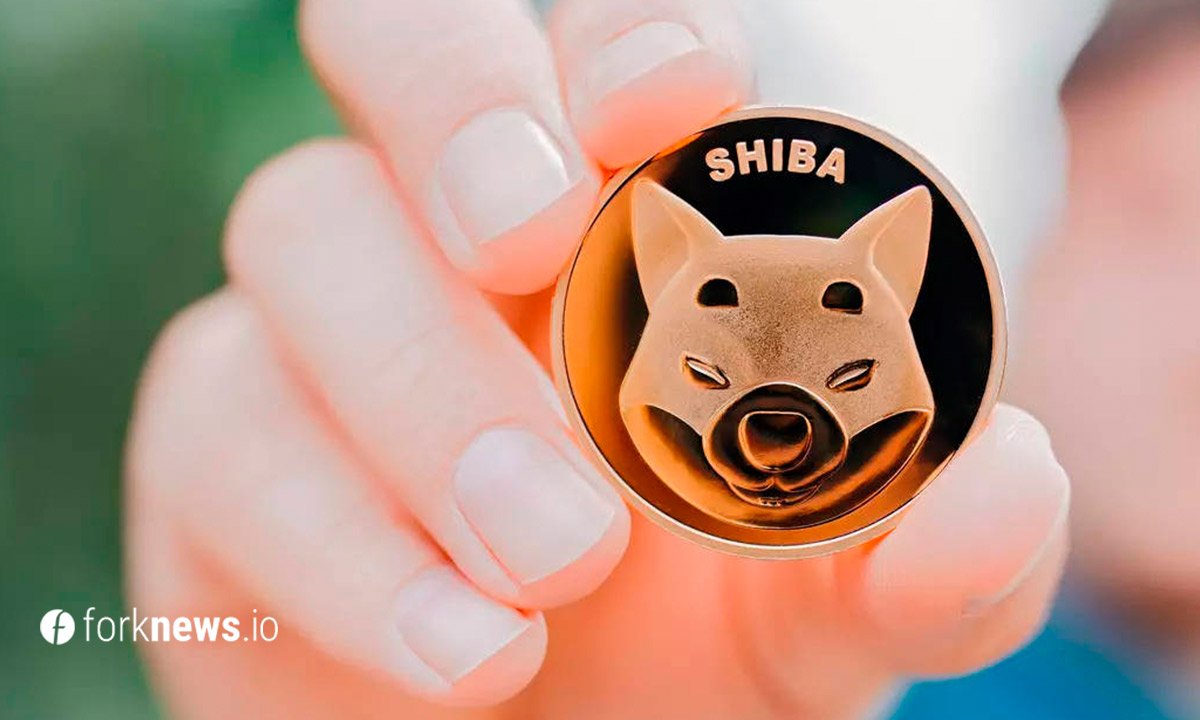 تتفوق شركة Shiba Inu على Doge في القيمة السوقية