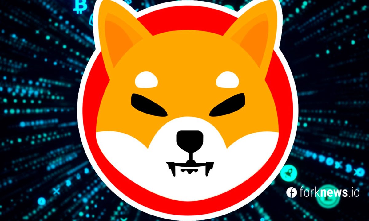 The rise of the Shiba Inu token. What is the reason for its success?
