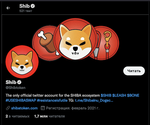 The rise of the Shiba Inu token. What is the reason for its success?