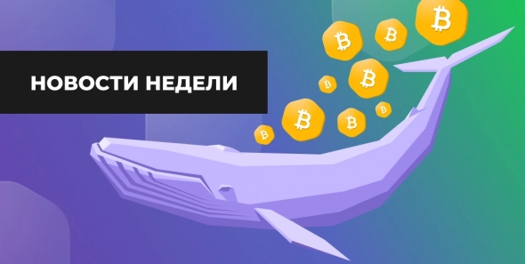 EXMO company blog | News of the week: whales hold BTC