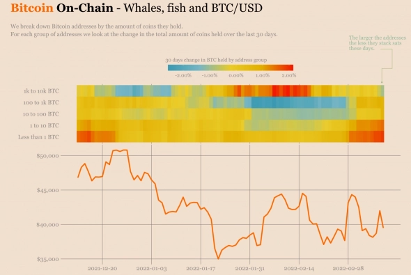 Whales are waiting for Bitcoin for $30,000