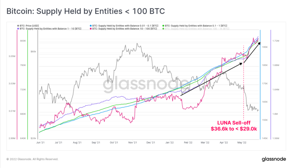 Glassnode: Majority of Hodlers Keep Growing Bitcoin Positions