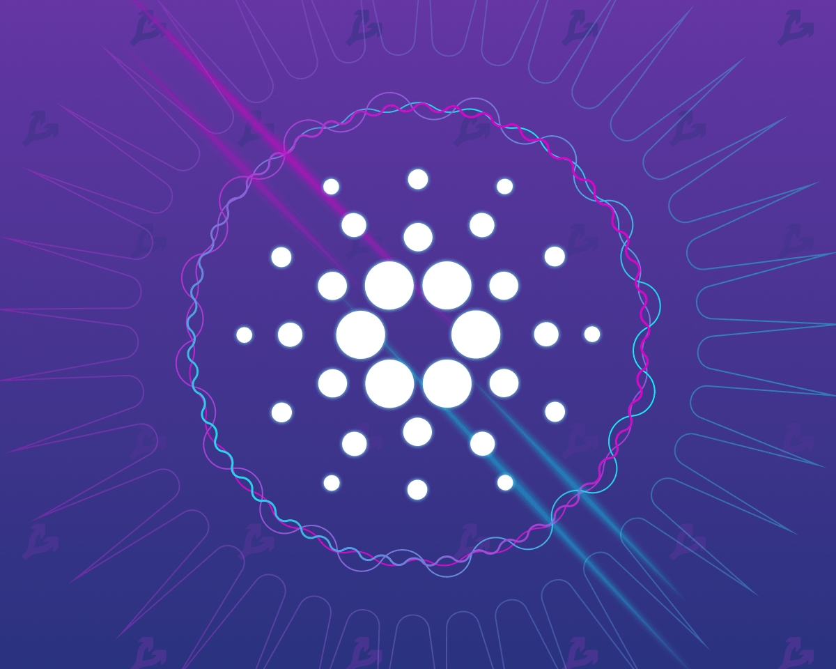 The developers reported an increase in transactional activity in the Cardano network