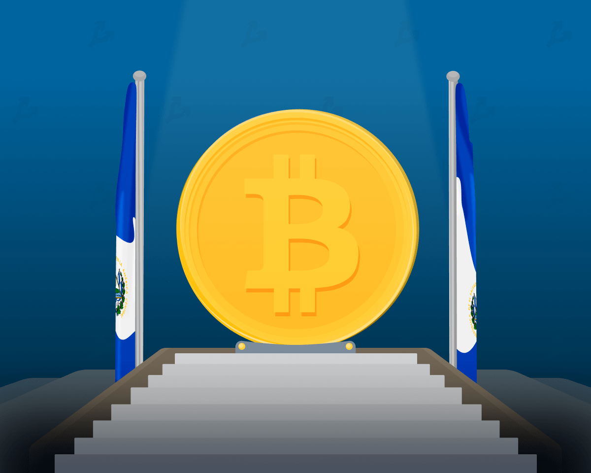 The President of El Salvador advised not to worry about the fall in the price of bitcoin