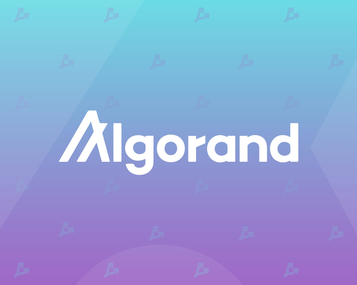 Cryptolending platform Hodlnaut owes $35 million to Algorand Foundation