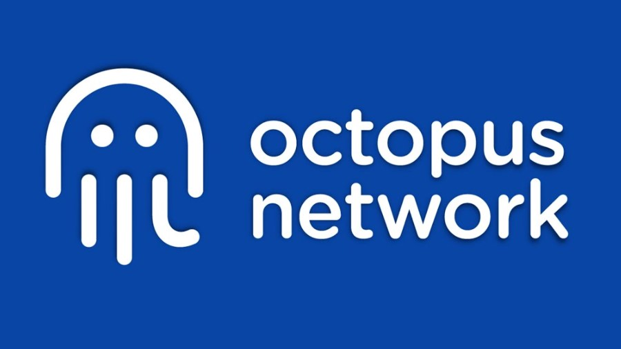 Octopus Network lays off 40% of employees due to market crisis