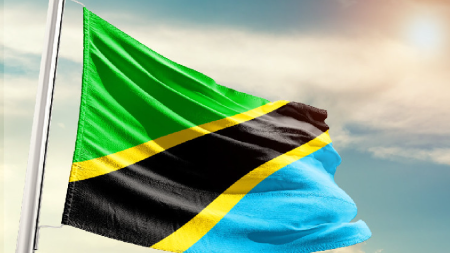 Tanzania's central bank refuses to rush to issue its own digital currency
