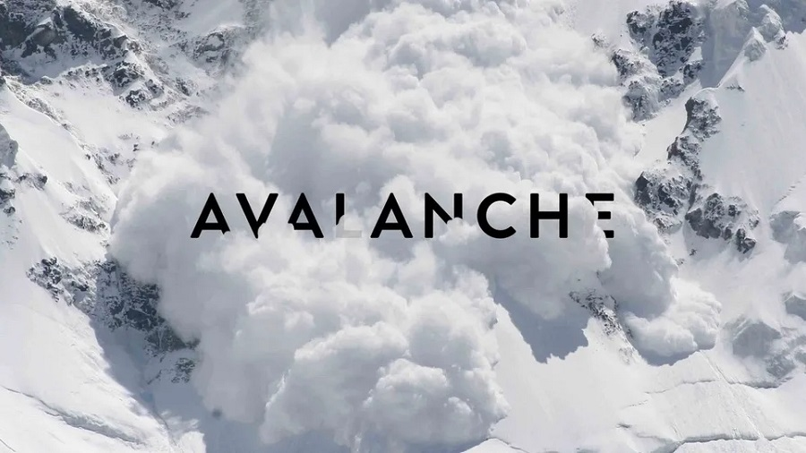 Avalanche C and X networks experienced a massive outage